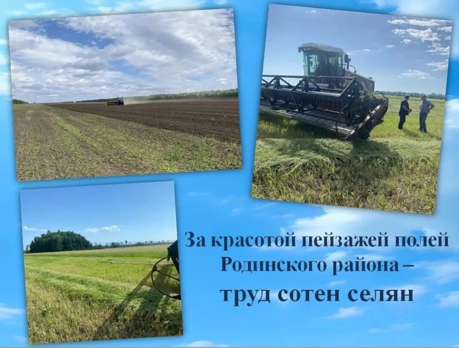 За красотой пейзажей полей Родинского района – труд сотен селян За красотой пейзажей полей Родинского района – труд сотен селян