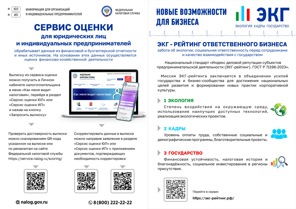 НАЛОГОВАЯ Листовка Сервис оценки и ЭКГ рейтинг.jpg