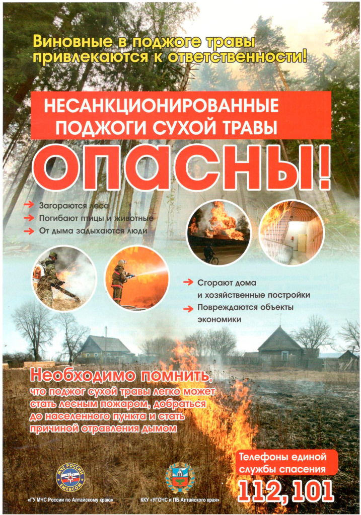 20001.jpg