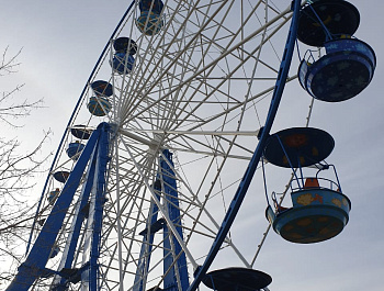  В парке культуры и отдыха в с. Родино продолжаются преобразования. На протяжении 2 недель здесь ведется     кронирование,  вырубка и корчевание деревьев. Пришла пора садить новые. Работа будет выполняться поэтапно.