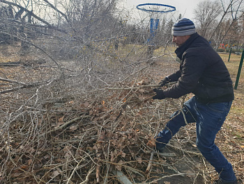 В парке культуры и отдыха в с. Родино продолжаются преобразования. На протяжении 2 недель здесь ведется     кронирование,  вырубка и корчевание деревьев. Пришла пора садить новые. Работа будет выполняться поэтапно.