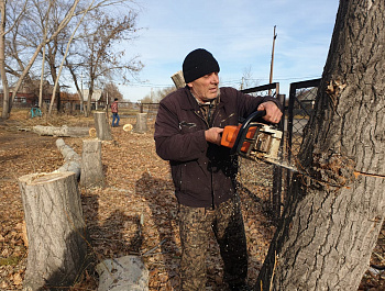  В парке культуры и отдыха в с. Родино продолжаются преобразования. На протяжении 2 недель здесь ведется     кронирование,  вырубка и корчевание деревьев. Пришла пора садить новые. Работа будет выполняться поэтапно.